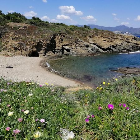 Вилла Casa Platja D'En Robert El Port De La Selva Экстерьер фото