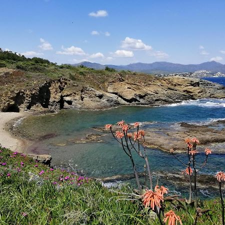 Вилла Casa Platja D'En Robert El Port De La Selva Экстерьер фото
