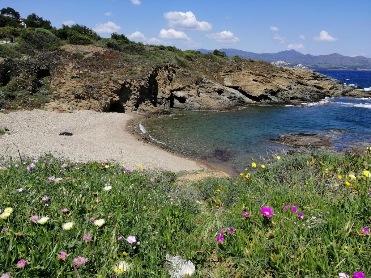 Вилла Casa Platja D'En Robert El Port De La Selva Экстерьер фото